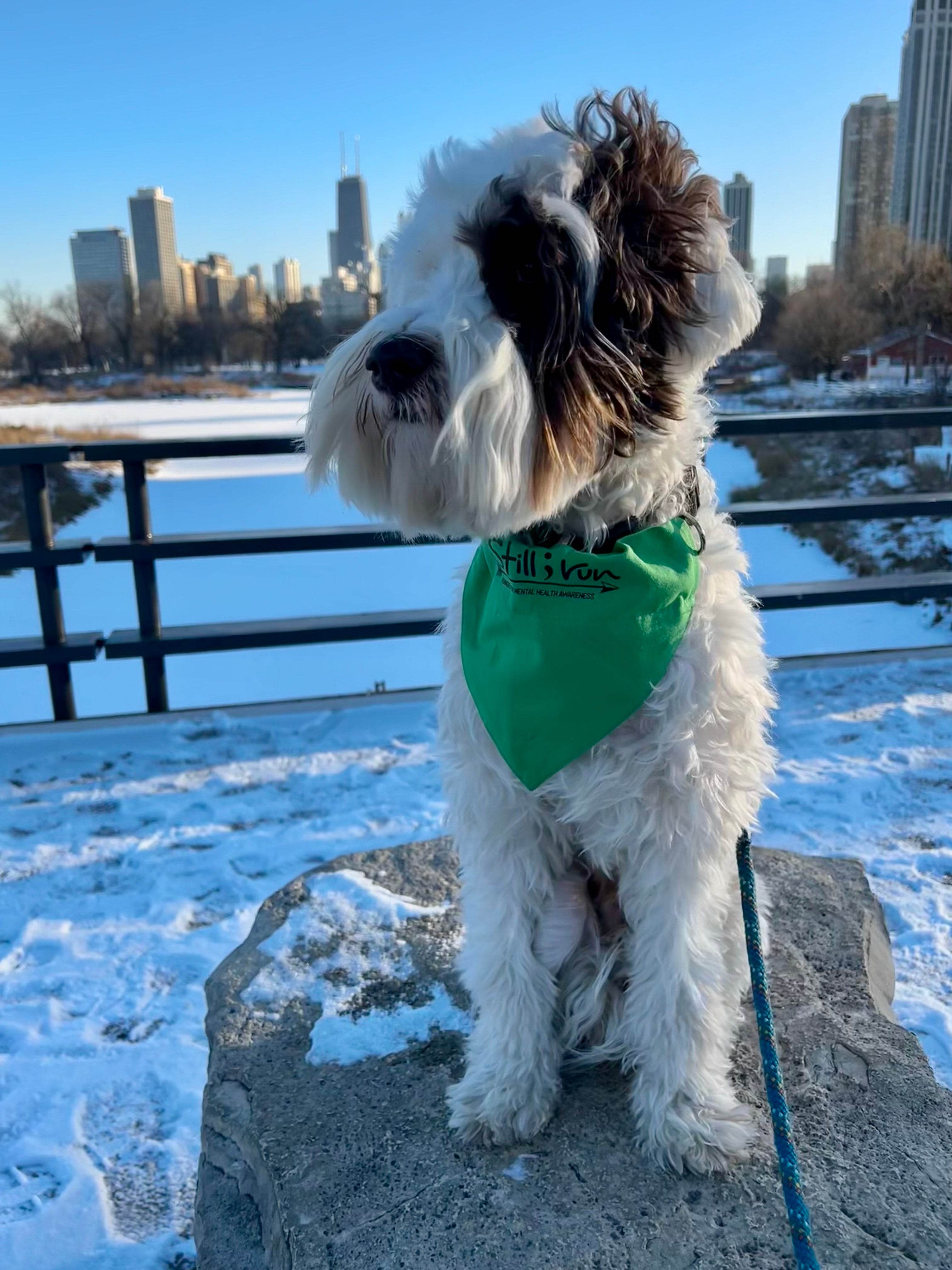 Still I Run Pet Bandana - Still I Run