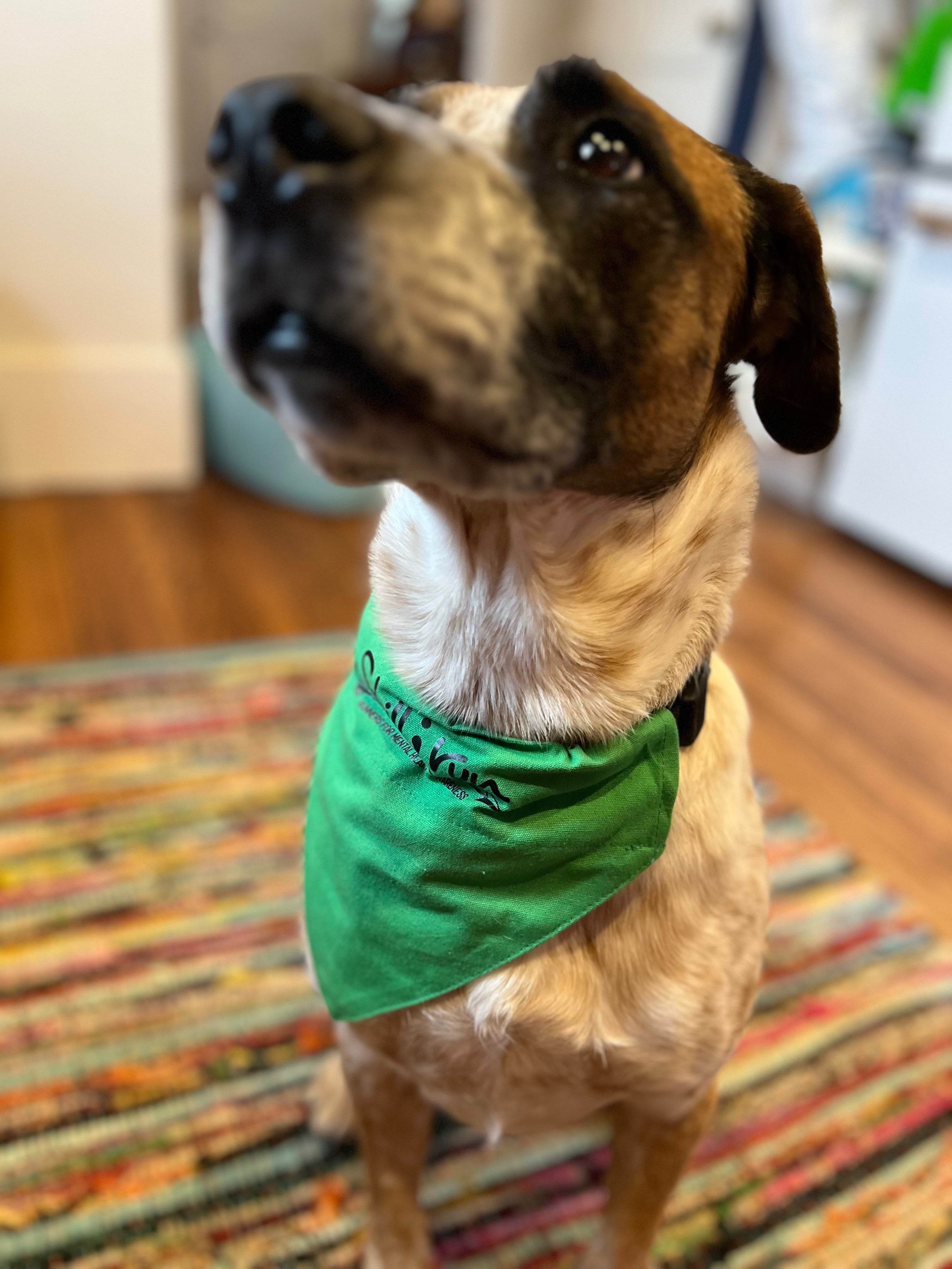 Still I Run Pet Bandana - Still I Run